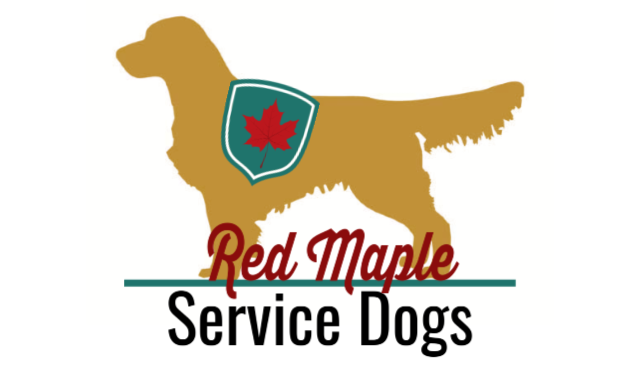 red maple service dogs ontario canada